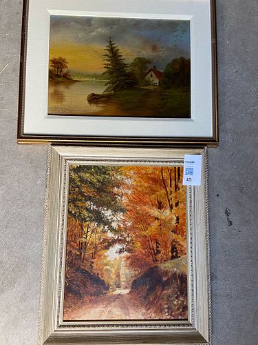 Lot #45 (1 of 6)
