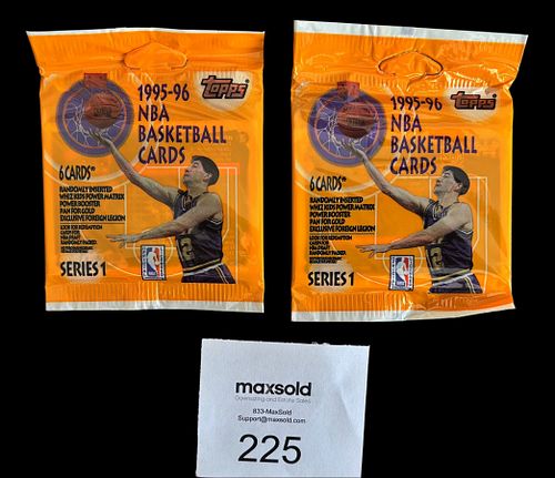Lot #225 (1 of 2)
