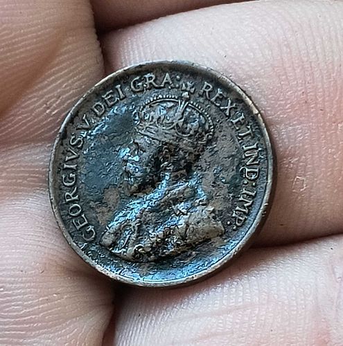 Lot #11 (1 of 5)