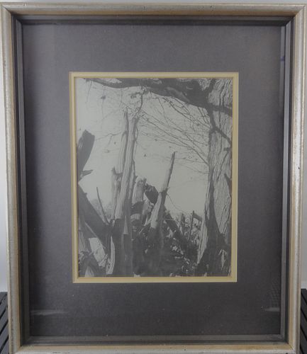 Lot #24 (1 of 3)