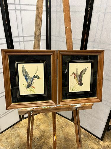 Lot #113 (1 of 15)