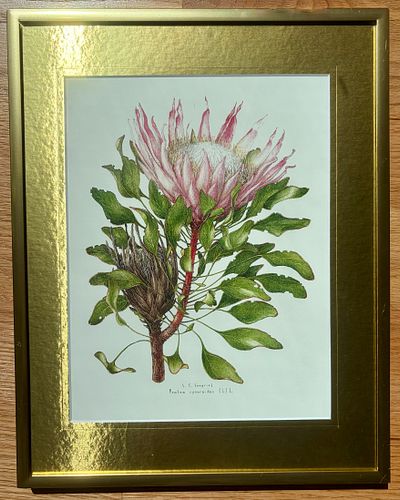 Lot #99 (1 of 2)