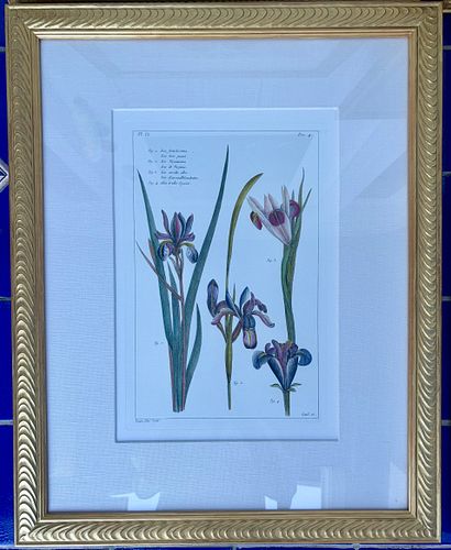 Lot #105 (1 of 4)