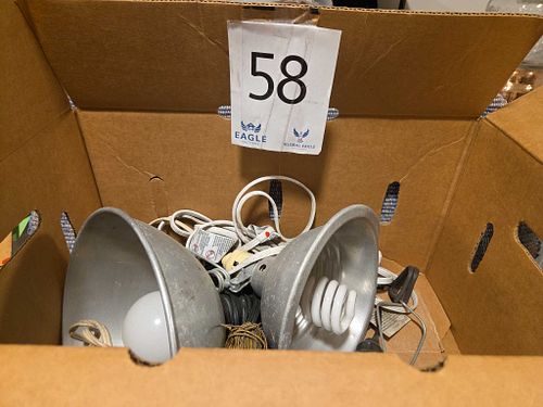 Lot #58 (1 of 6)