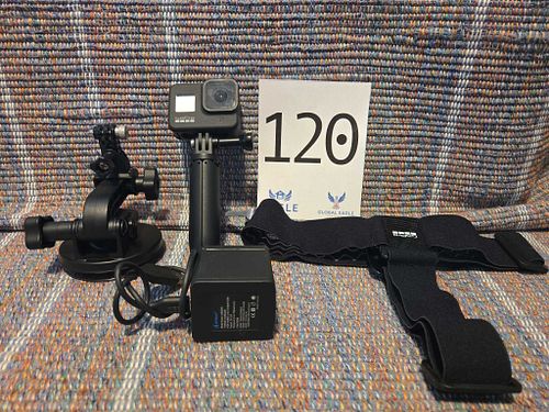Lot #120 (1 of 13)