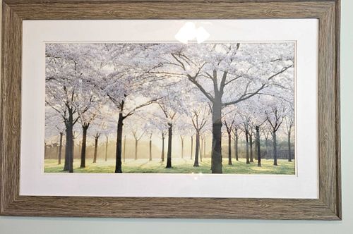 Lot #137 (1 of 3)