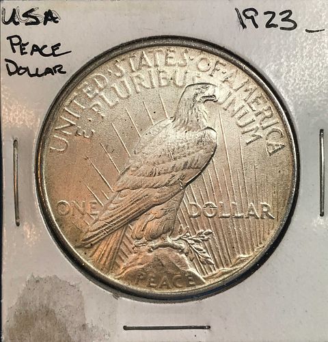 Lot #117 (1 of 3)