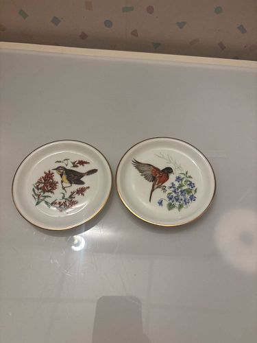 Lot #43 (1 of 6)