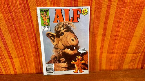 Lot #842 (1 of 13)