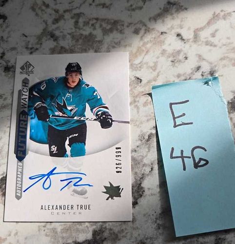 Lot #304 (1 of 2)