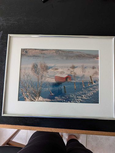 Lot #36 (1 of 6)