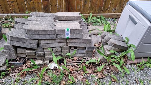 Lot #48 (1 of 3)