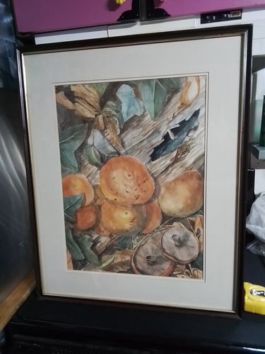 Lot #32 (1 of 12)