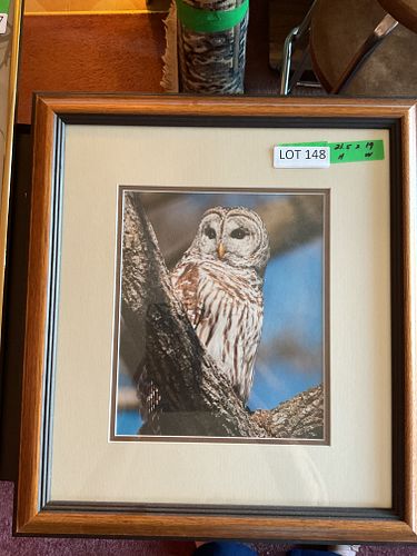 Lot #148 (1 of 3)