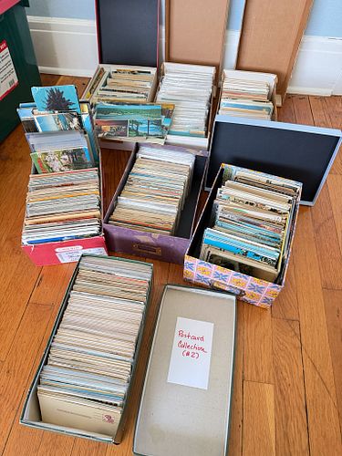 Lot #170 (1 of 20)