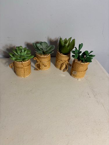 Lot #65 (1 of 5)