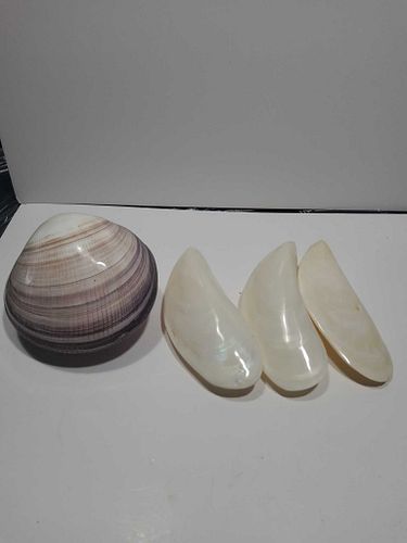 Lot #55 (1 of 4)