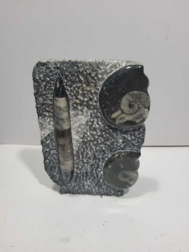 Lot #66 (1 of 5)