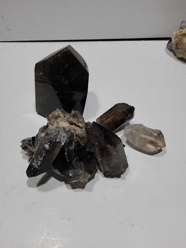 Lot #81 (1 of 7)