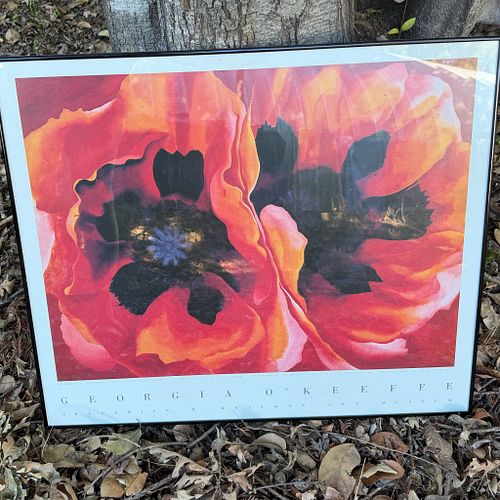 Lot #337 (1 of 3)