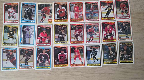 Lot #24 (1 of 17)