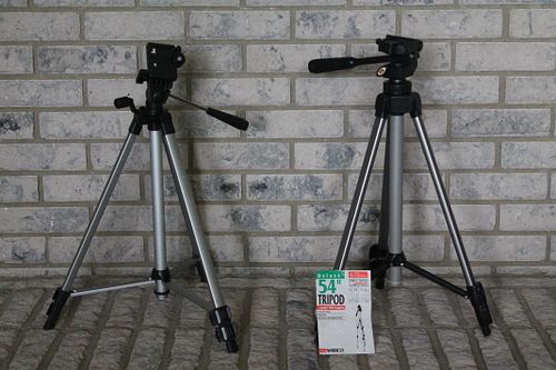 Lot #50 (1 of 3)