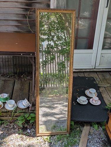 Lot #14 (1 of 12)