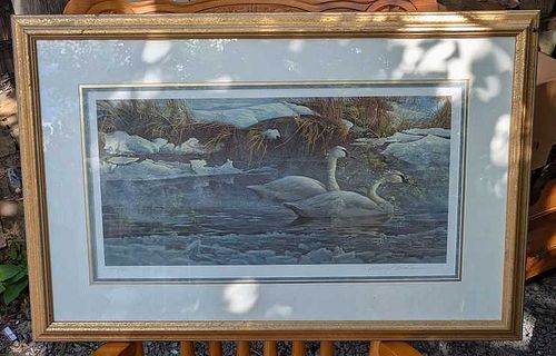 Lot #75 (1 of 17)