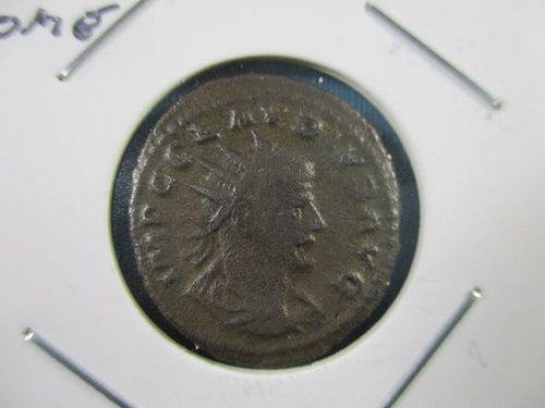 Lot #75 (1 of 3)
