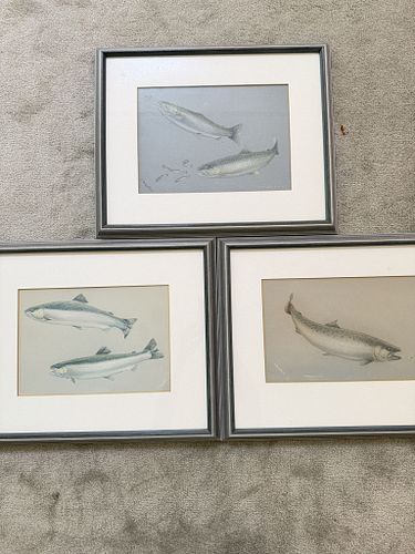 Lot #70 (1 of 14)