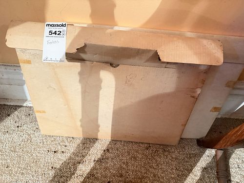 Lot #542 (1 of 8)