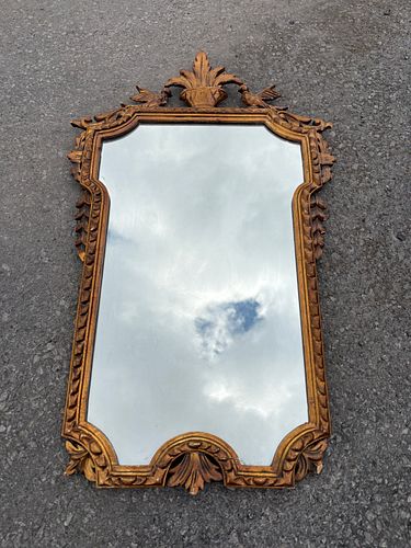 Lot #41 (1 of 12)