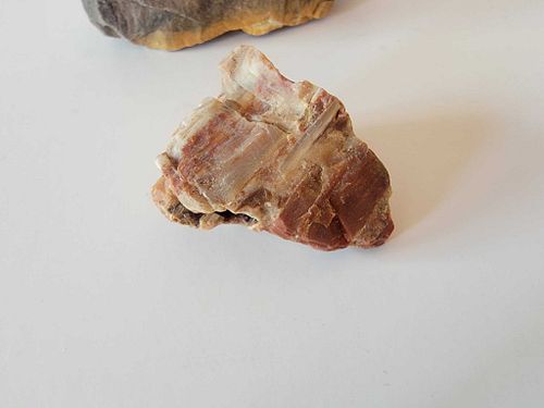 Lot #59 (1 of 5)