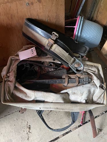 Lot #453 (1 of 5)