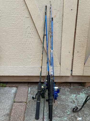 Lot #19 (1 of 3)