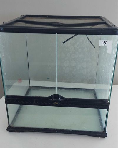 Lot #17 (1 of 3)