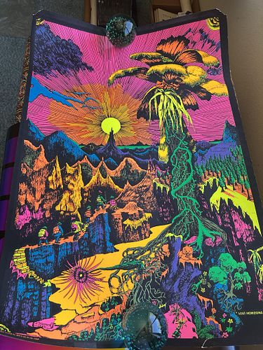 Lot #359 (1 of 11)
