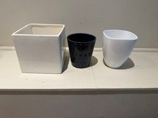 Lot #42 (1 of 3)