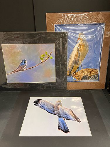 Lot #56 (1 of 9)