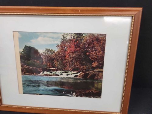 Lot #46 (1 of 3)