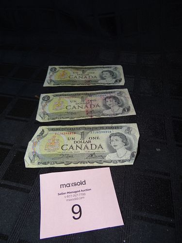 Lot #9 (1 of 2)