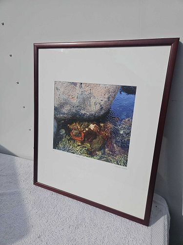 Lot #5 (1 of 5)
