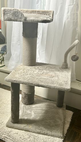 Lot #36 (1 of 6)