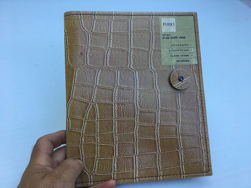 Lot #29 (1 of 6)