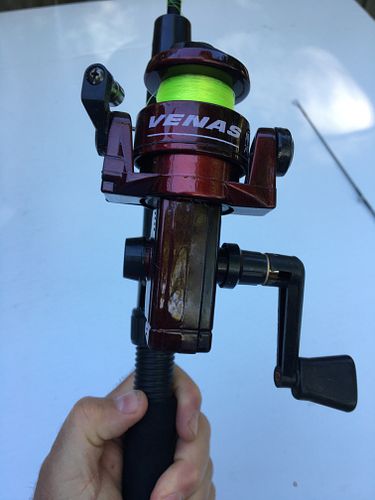 Lot #35 (1 of 6)