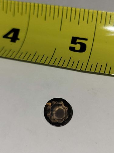 Lot #58 (1 of 4)