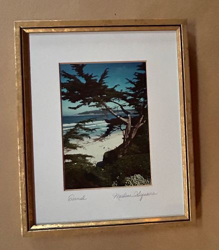 Lot #110 (1 of 5)
