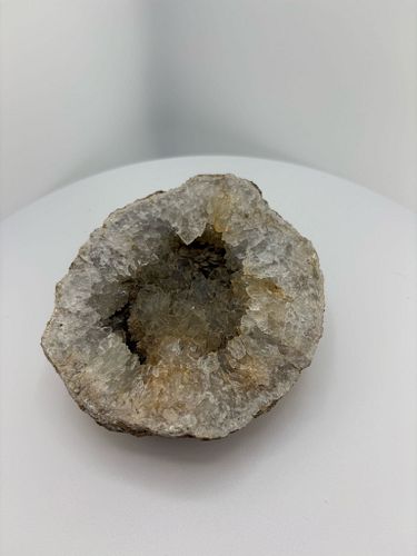 Lot #41 (1 of 6)