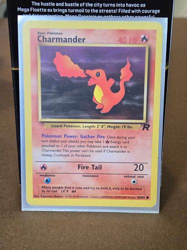 Lot #47 (1 of 3)