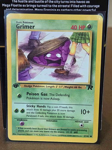 Lot #49 (1 of 3)